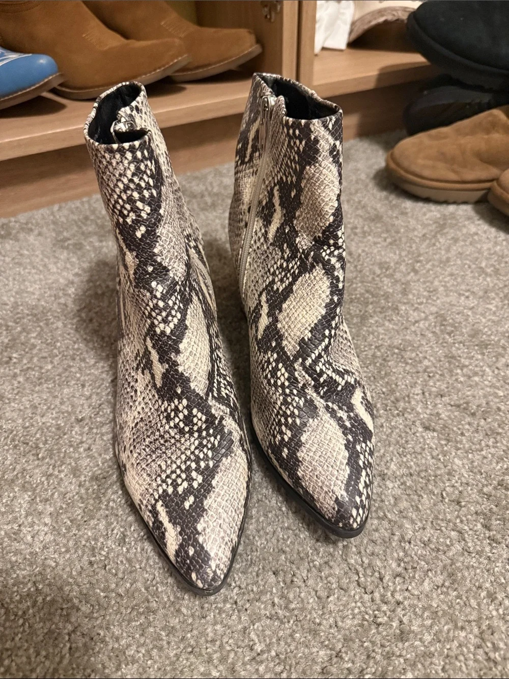 Women's Snake-Print Block Ankle Boots - White/Black Madden Girl Dafnii low heel